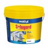 Exterior Water Based Paint