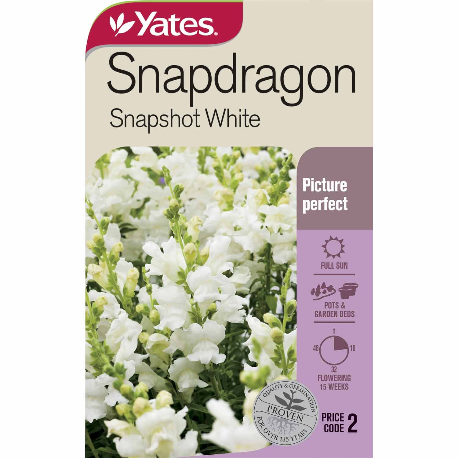 Snapdragon 'Snapshot White'