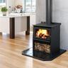 Xtreme Rad Woody 18kW Wood Fire and Standard Flue Kit