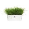 Plastic Trough with Saucer White 50cm