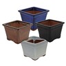 Bonsai Pot