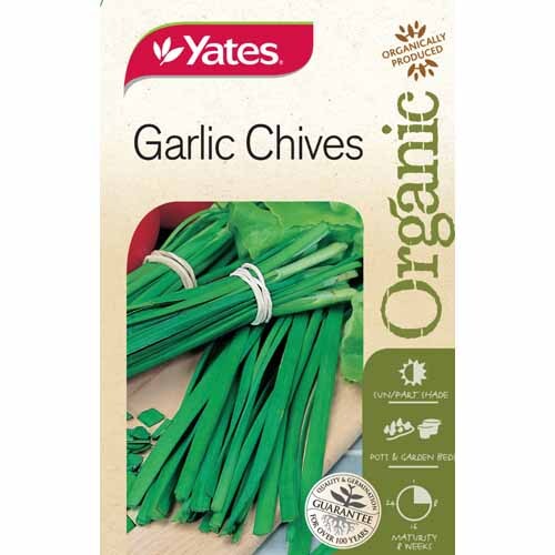 Garlic Chives seed