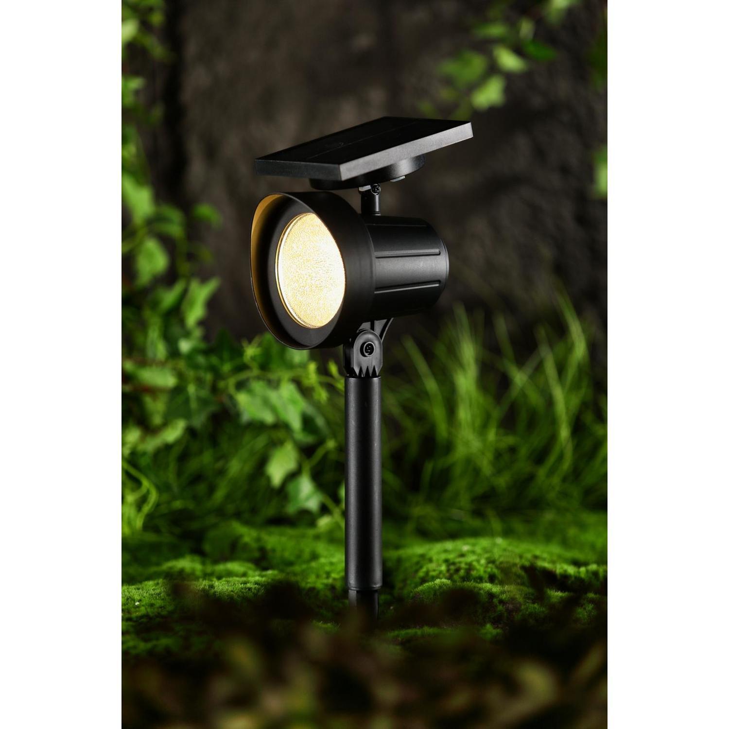 Solar Spot Light 31cm White or Colour Change