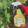 Fruit & Vegie Insecticide Ready To Use Gun