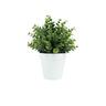 Artificial Eucalyptus Plant in Pot 11cm