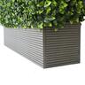 Photinia Gold Artificial Hedge Planter