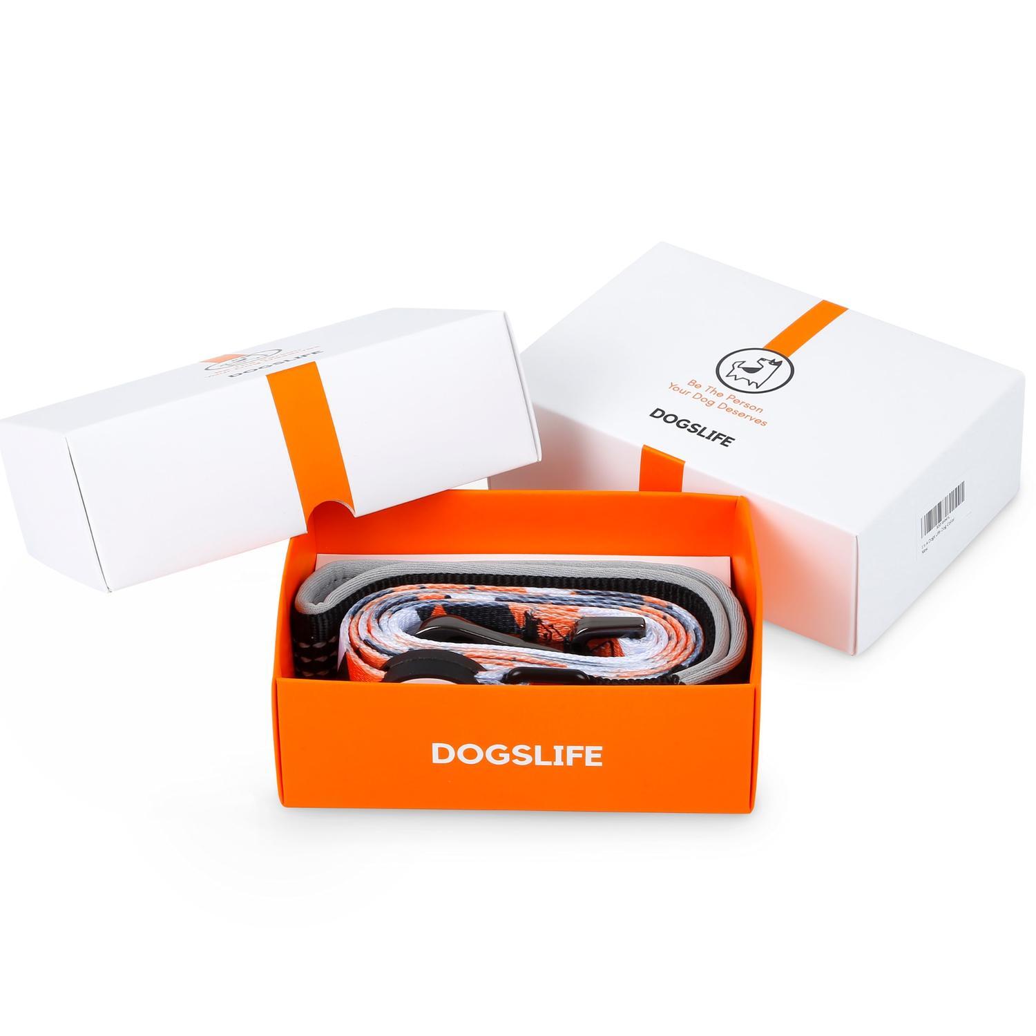 Dog Collar & Leash