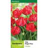 Tulip Peony Magic Price Pack of 5