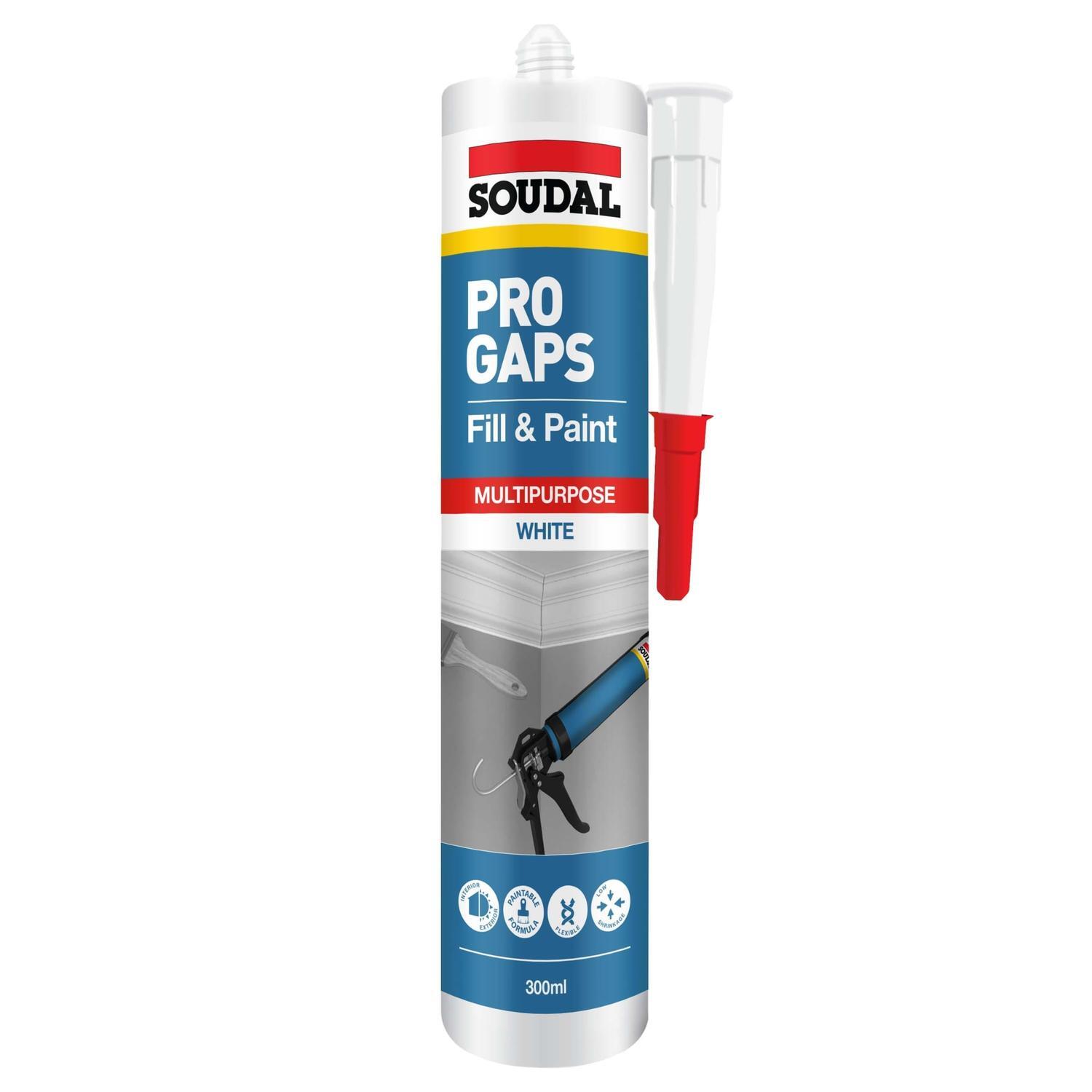 Pro Gaps Fill and Paint 300ml White