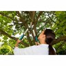 Pruning Lopper