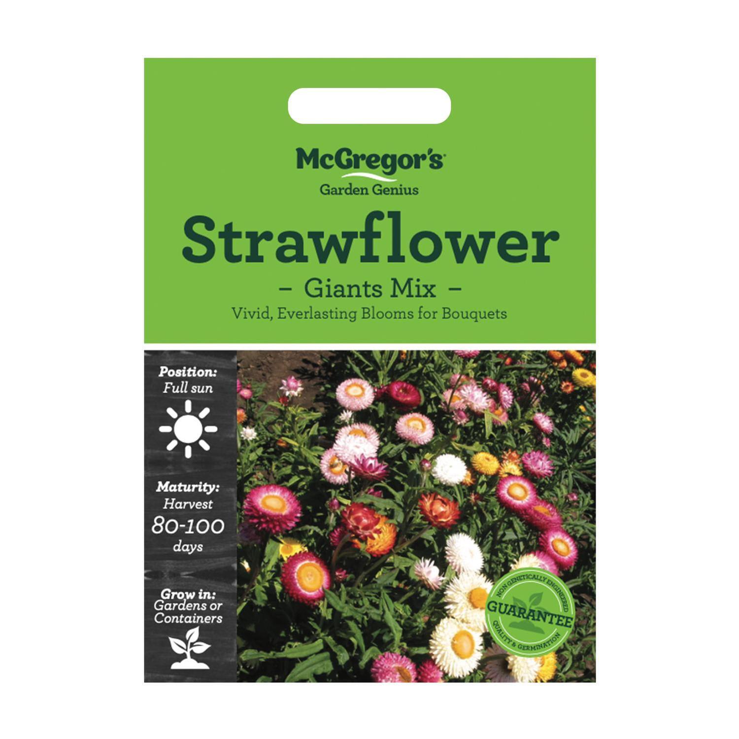 Strawflower Giants Mix Flower Seed