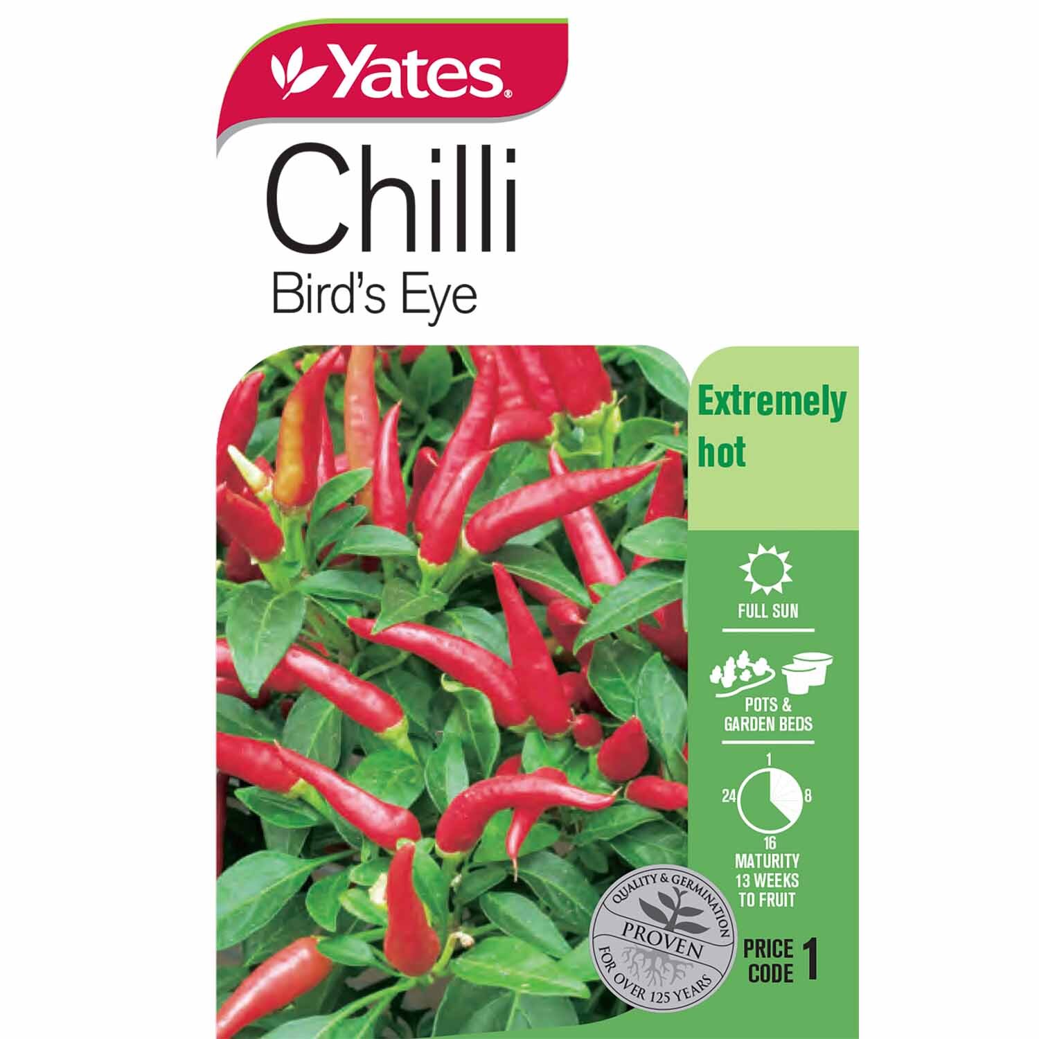 Chilli 'Bird's Eye'