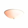 Oyster Light Kit for Ceiling Fan