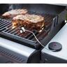 BBQ smart probe and grate sensor Black