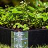 Raised Garden Bed