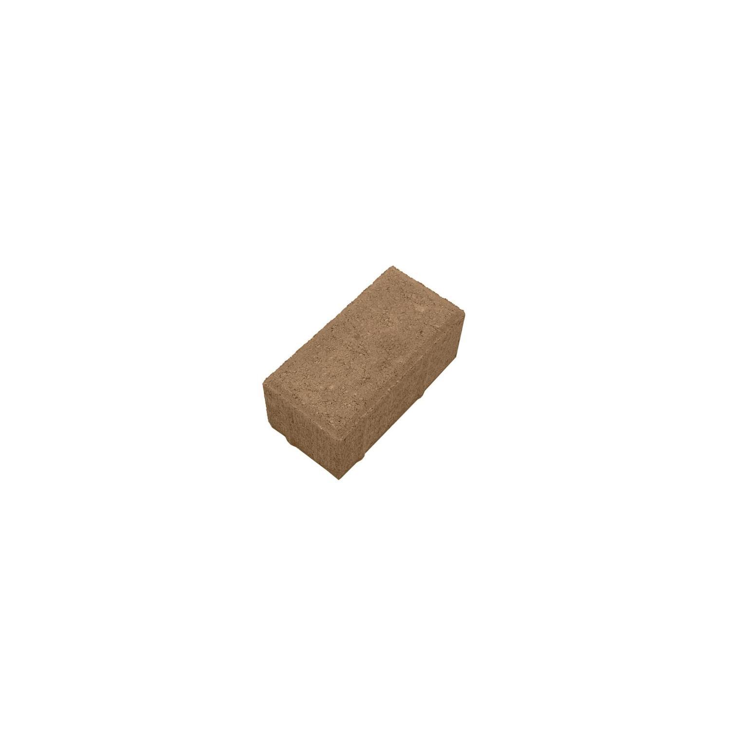 Concreate Paver L: 200mm, W: 100mm, D: 80mm Terracotta