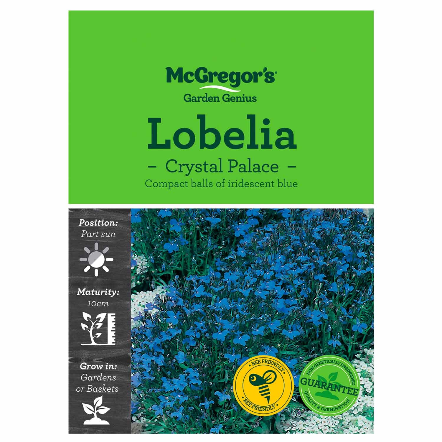 Crystal Palace Lobelia  Flower Seed