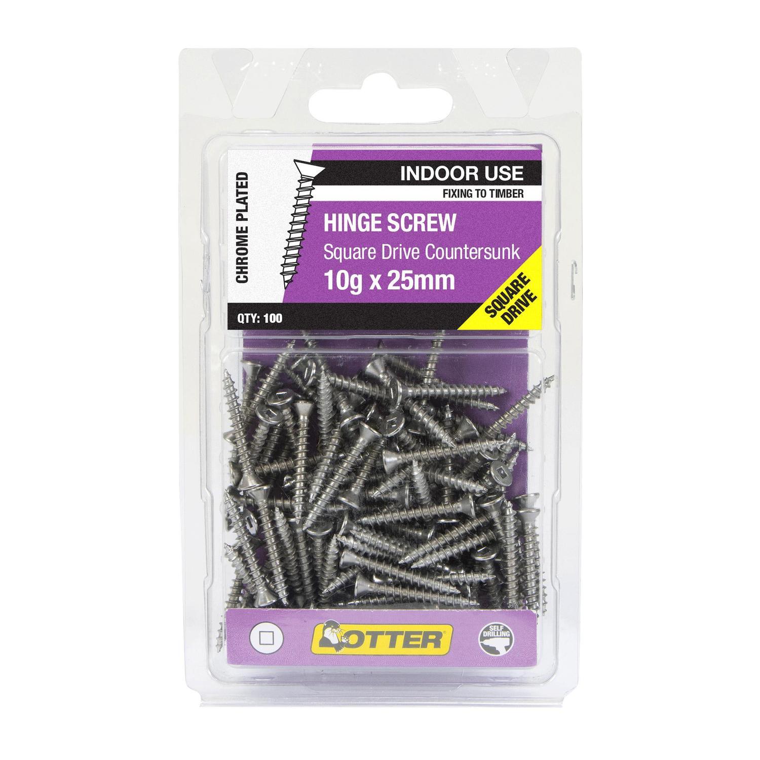 Hinge Screws