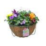 Ready to Hang Basket 30cm
