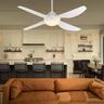 Ceiling Fan with LED light