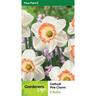 Daffodil Pink Charm Pack of 5