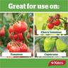Tomato Plant Food