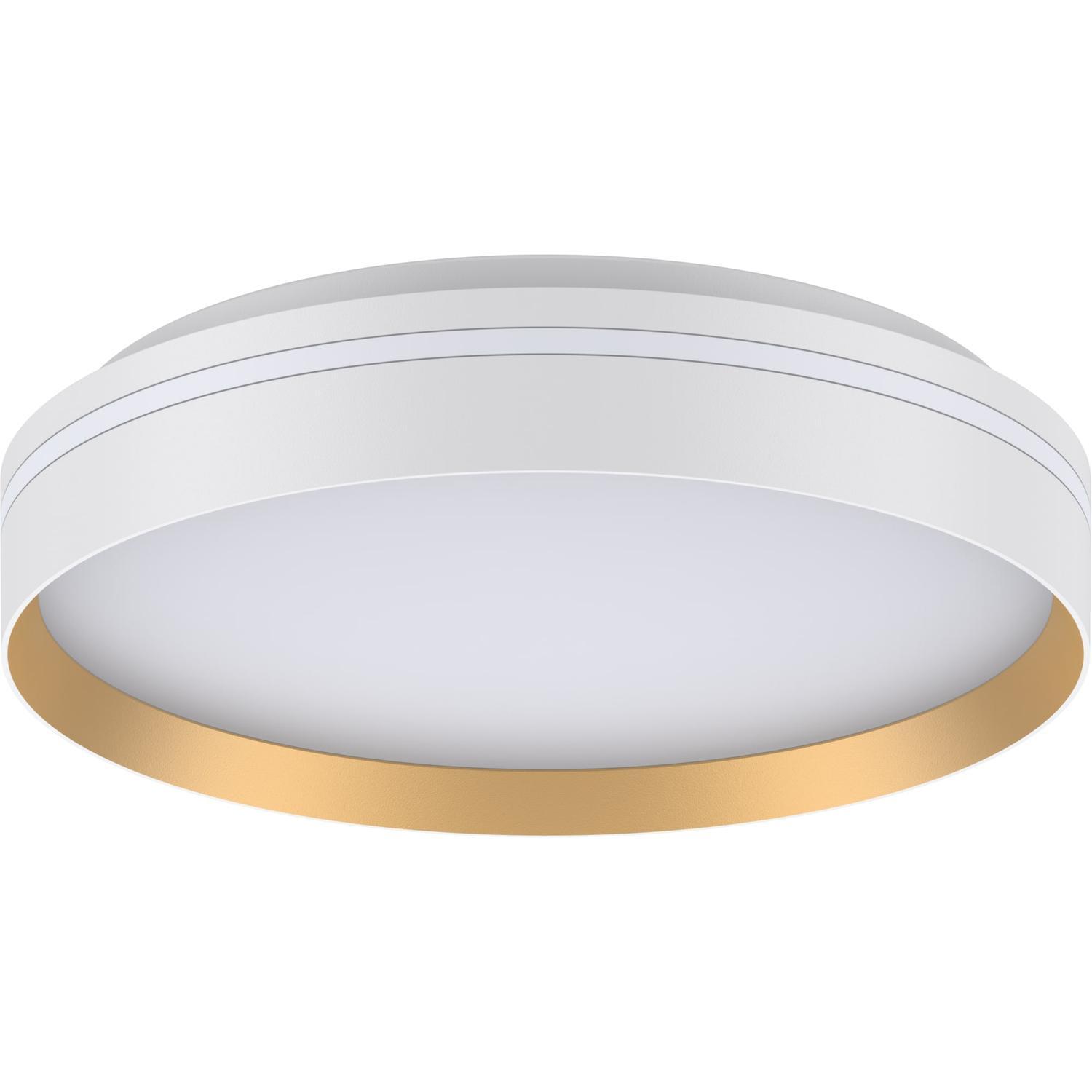 Oyster Light 15W Gold White