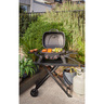 Homestead Portable Gas BBQ