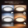 Hue Ceiling Light Muscari