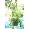Becca Hanging Planter