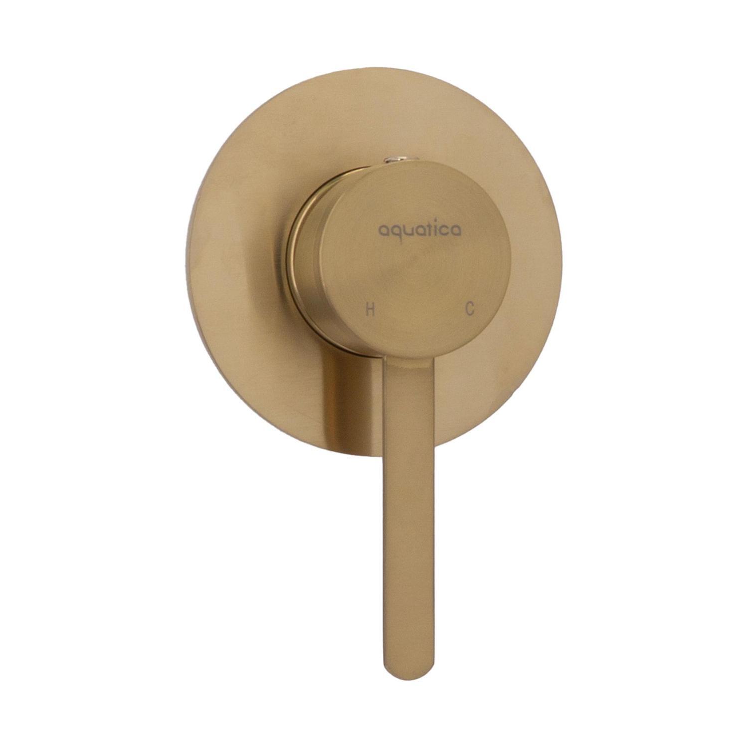 Shower Mixer  Brushed Gold