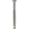 Decking Screw