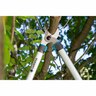 Pruning Lopper