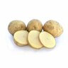 Swift Seed Potatoes