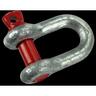 D Shackle  8mm Galvanised
