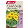 Flower Seed Sunflower 'Dwarf Sensation'