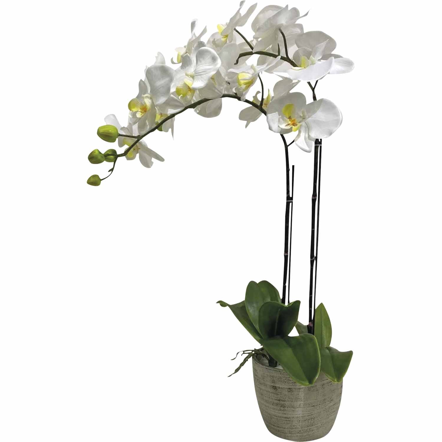 Artificial Two-Stem Orchid