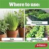 Vegie & Herb Liquid Plant Food