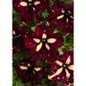 Petunia Lightning Sky