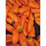 Capsicum Orange Lunch Box