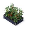Timber Raised Garden Bed 1.2m x 0.8m Black