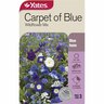 Flower Seed Wildflower Carpet of Blue Mix
