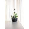 TERRARIUM GLASS BOTTLE