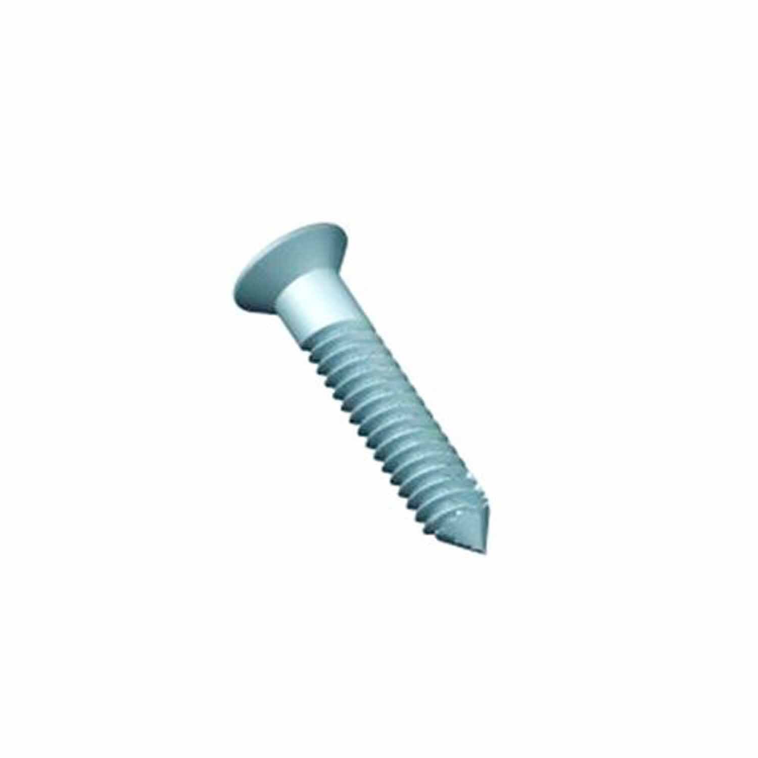 Securistay Screws