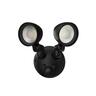 Security Light Black