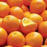 Orange Seville