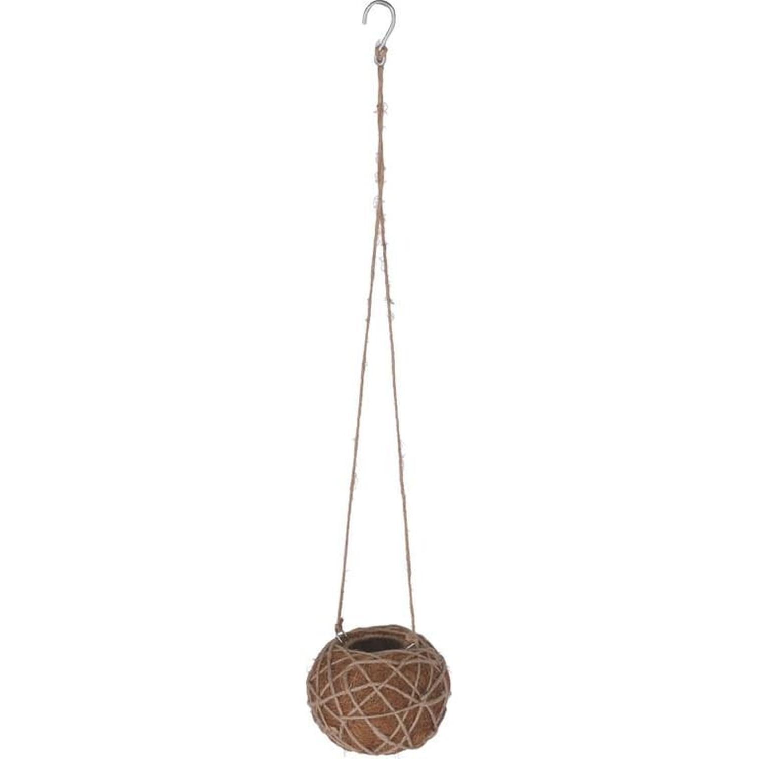 Kokedama Indoor Plant Hanger