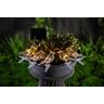 Solar Bird String Light 5Pk 80cm Warm White