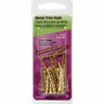 Metal Trim Nail
