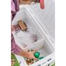 Sports Elite Ice Box